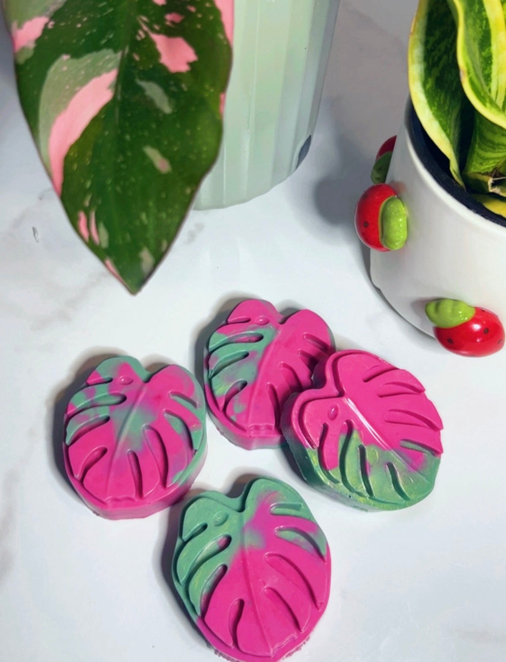 Botanical Blush Goat Milk Soap