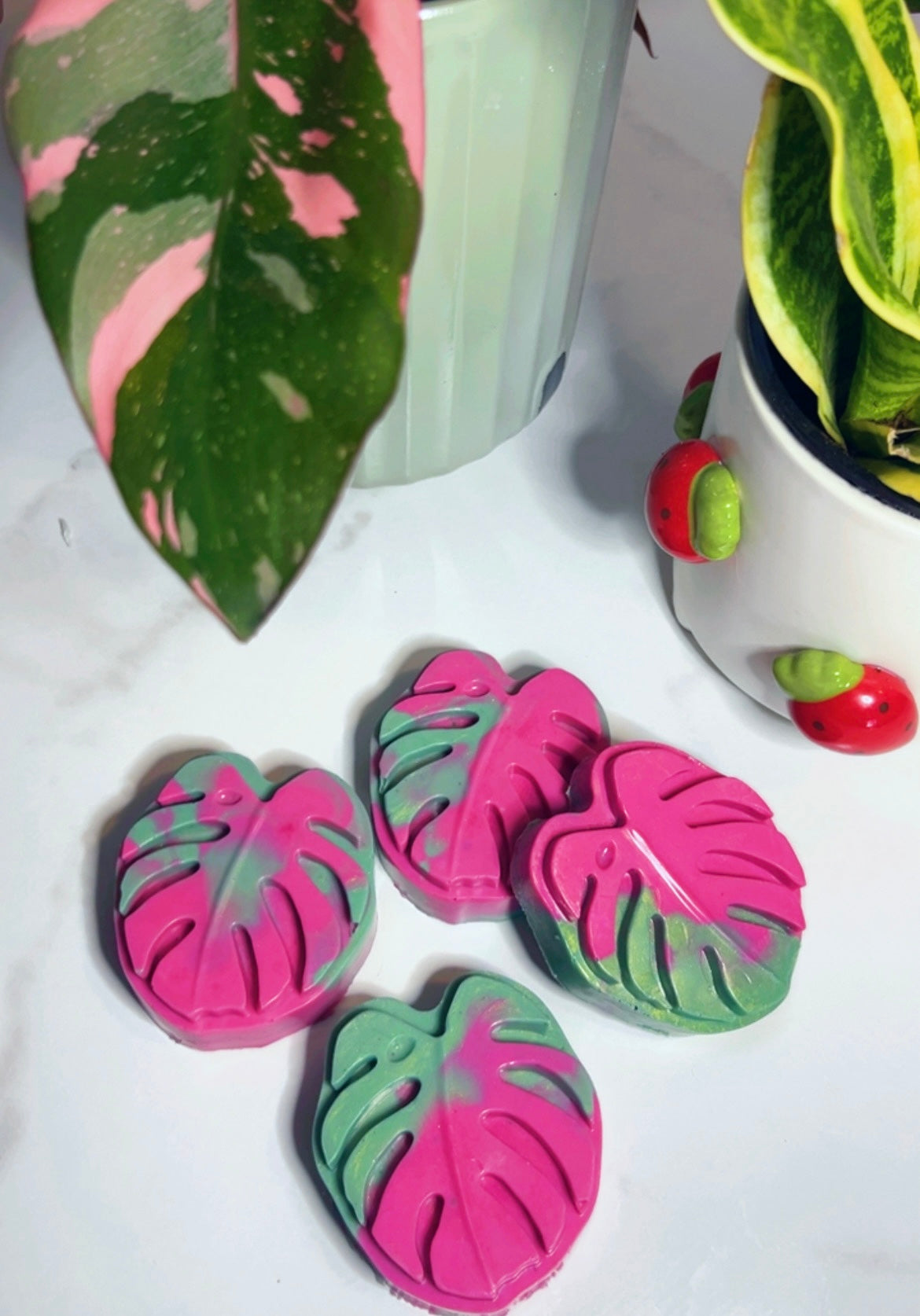 Botanical Blush Goat Milk Soap